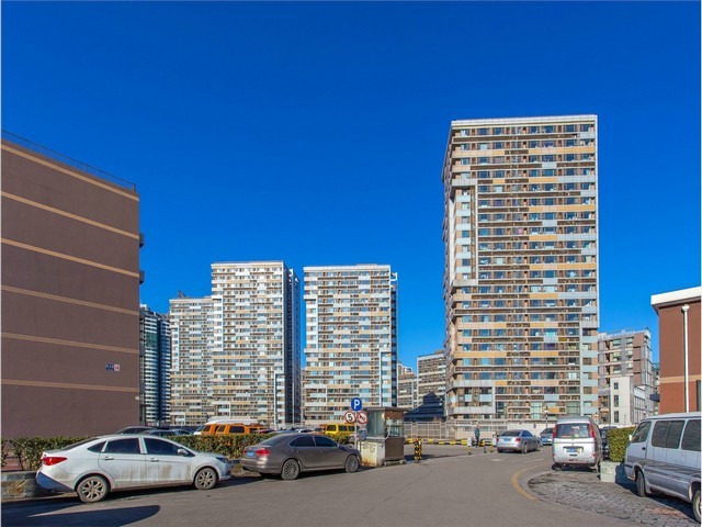 荣昌区党政软件定制开发找哪家